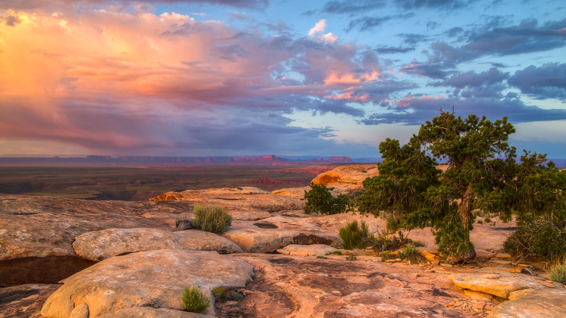 Cedar Mesa and Muley Point near Bears Ears National Monument, Utah, United States (© Jeff Clay/Tandem Stills + Motion)