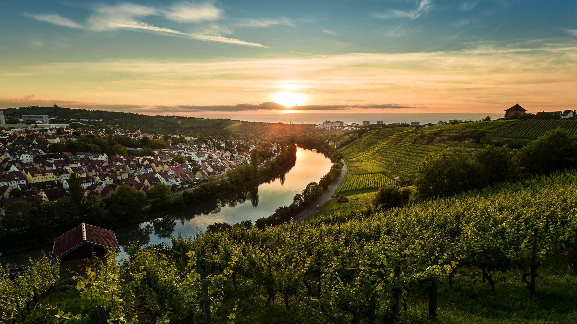 Sunset over the vineyards of Steinhaldenfeld, Neckar valley, Stuttgart, Germany (© Cyril Gosselin/Getty Images)