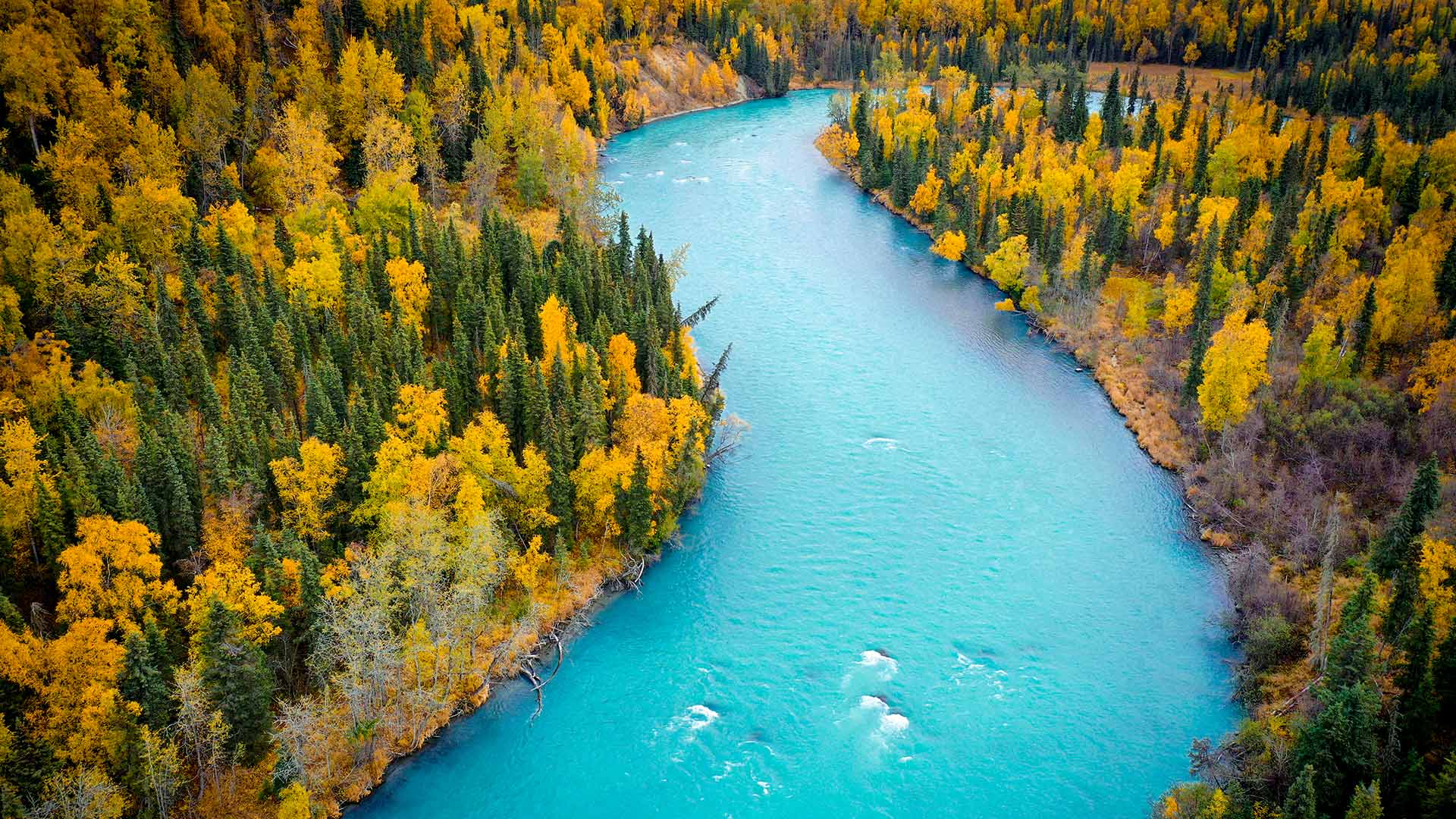 The blue, glacier-fed waters of the Kasilof River, Alaska, United States (© jared lloyd/Getty Images)