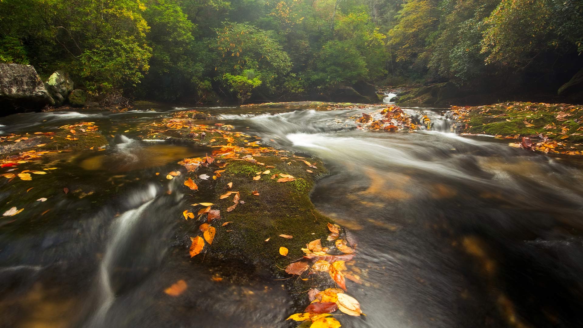 Chattooga River in the Appalachian Mountains, North Carolina, United States (© mtilghma/Getty Images)