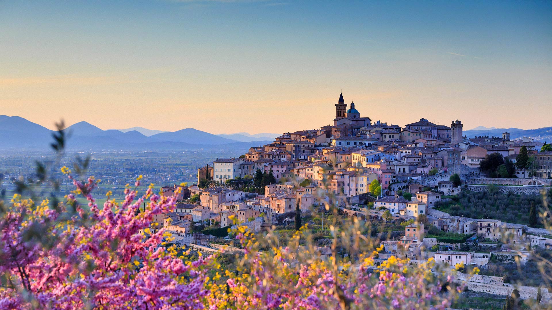 Bing Wallpaper (IN) 20210216 - Tuesday, 16th February, 2021