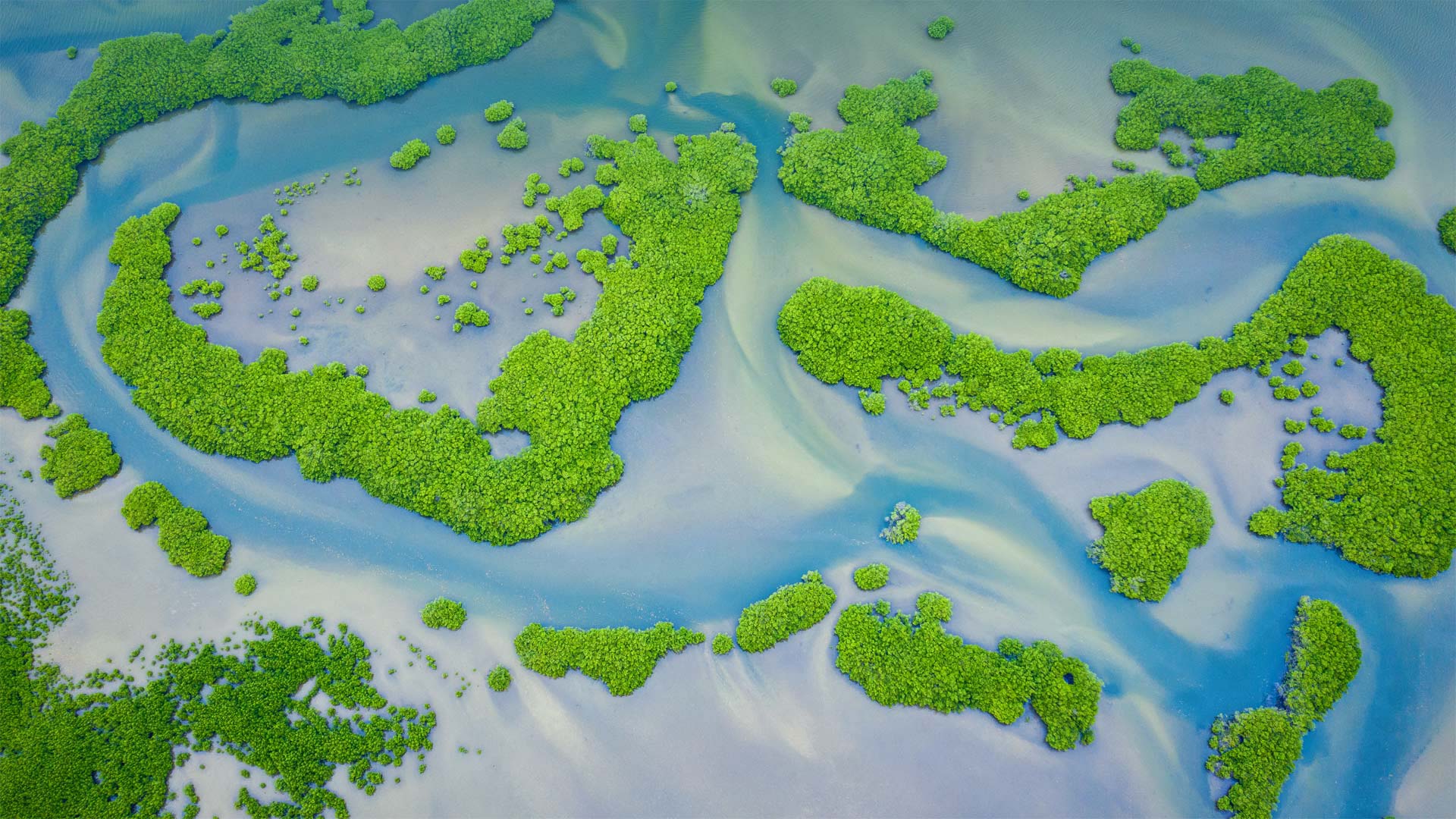 Bing Wallpaper IN 20220725 Monday 25th July 2022 Free Download 