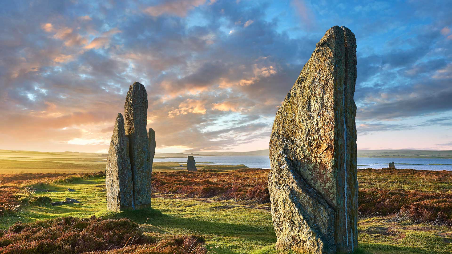 Bing Wallpaper (IN) 20240418 - Thursday, 18th April, 2024