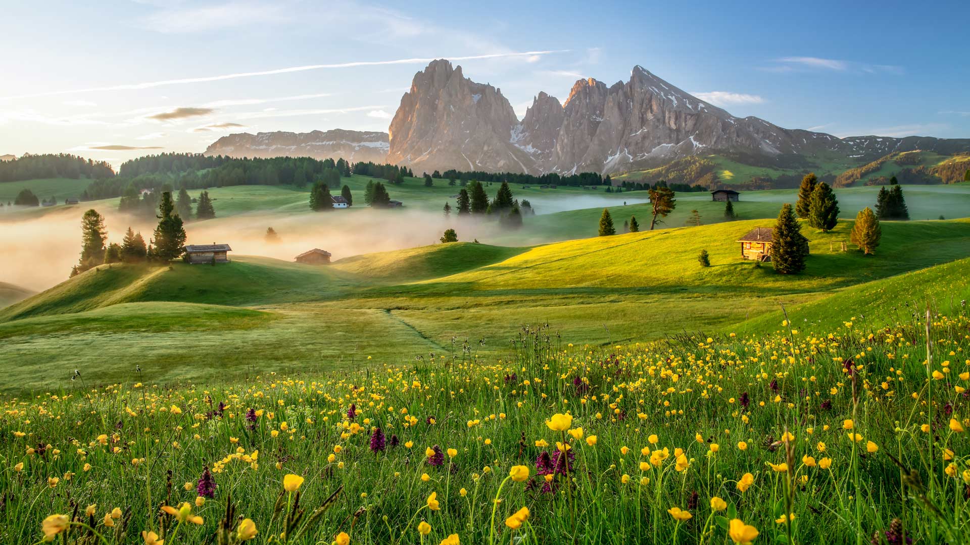 Bing Wallpaper (AU) 20240423 - Tuesday, 23rd April, 2024