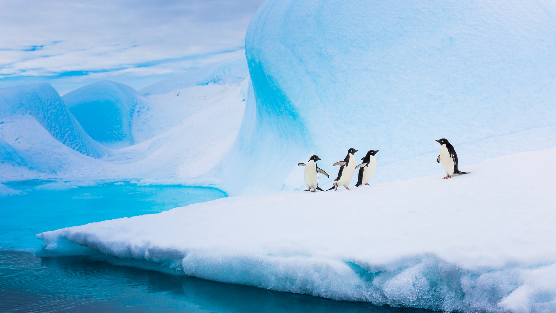 Bing Wallpaper (IN) 20240424 - Wednesday, 24th April, 2024