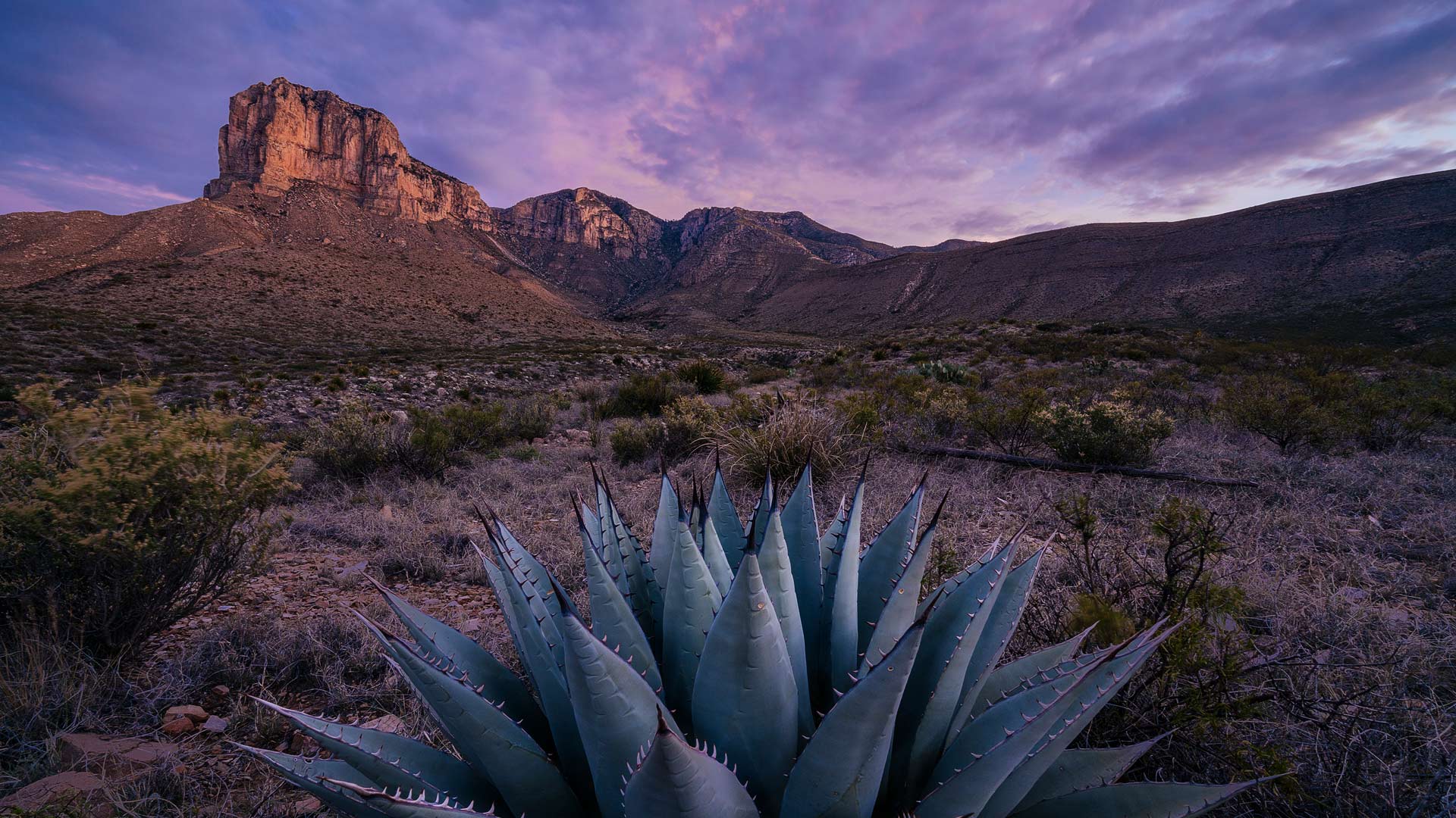 Bing Wallpaper (IN) 20240427 - Saturday, 27th April, 2024