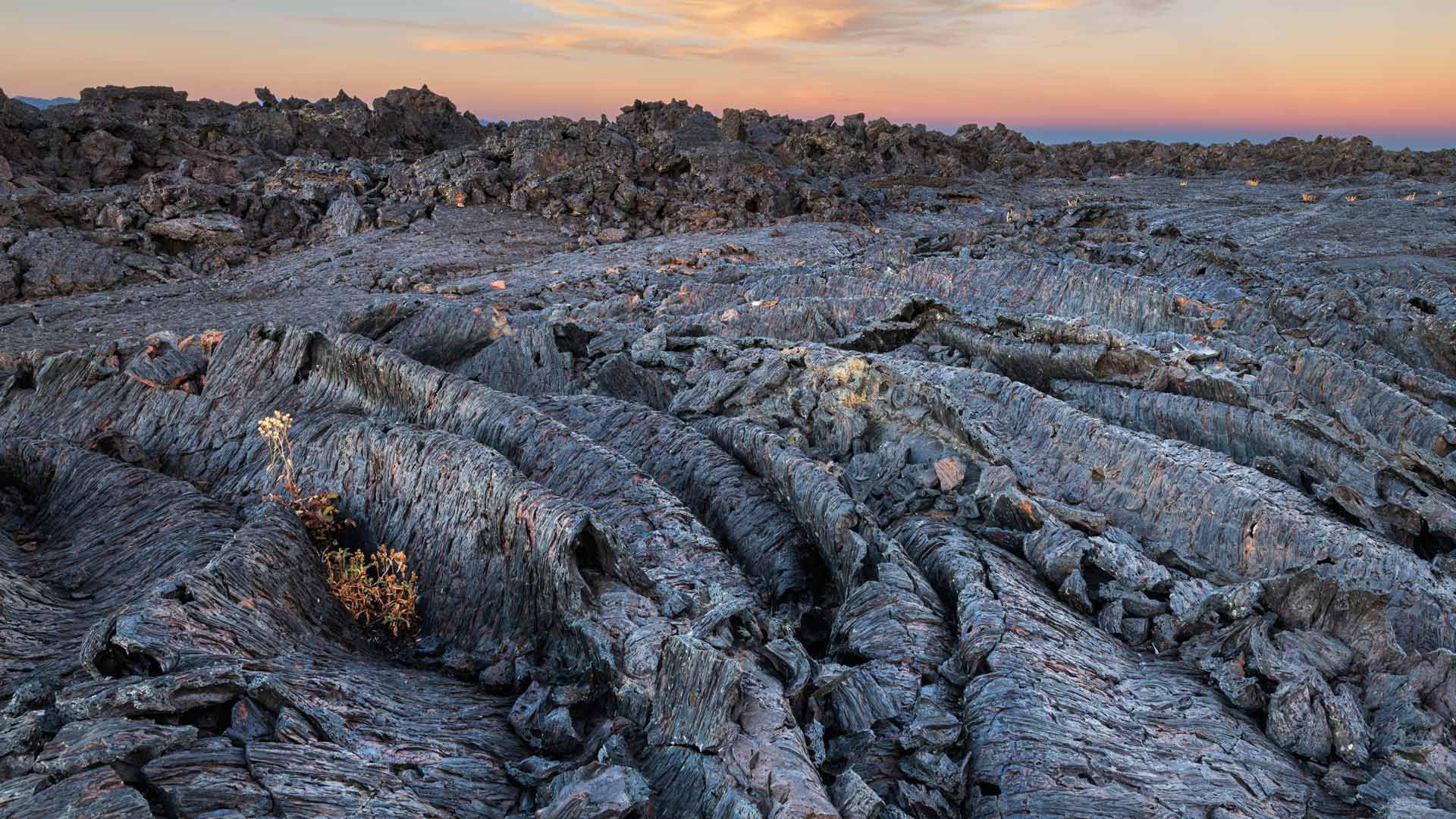 Bing Wallpaper (IN) 20240501 - Wednesday, 1st May, 2024