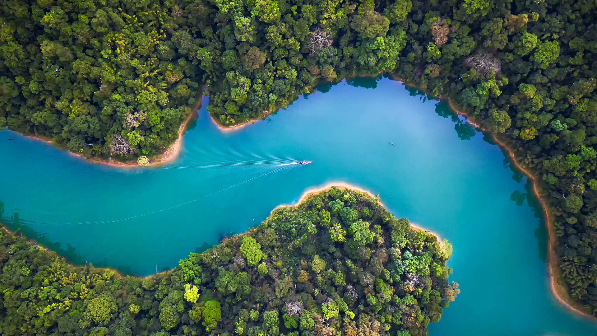 Bing Wallpaper (IN) 20250304 - Tuesday, 4th March, 2025