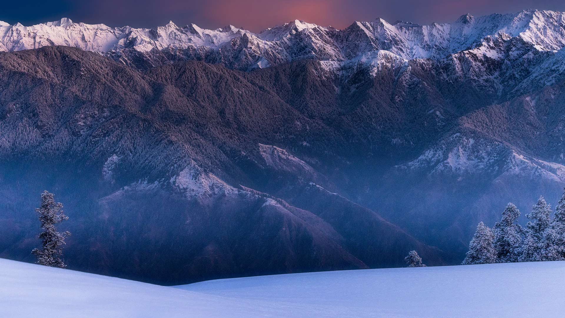 Bing Wallpaper (IN) 20250308 - Saturday, 8th March, 2025