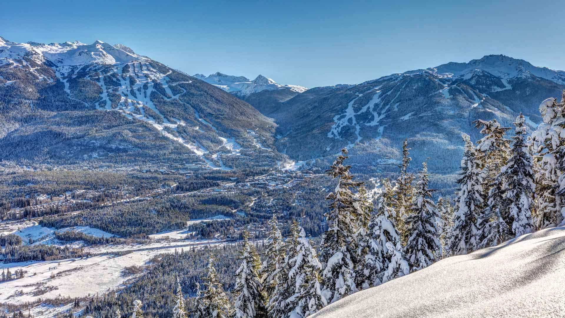 Bing Wallpaper (CA) 20250407 - Monday, 7th April, 2025