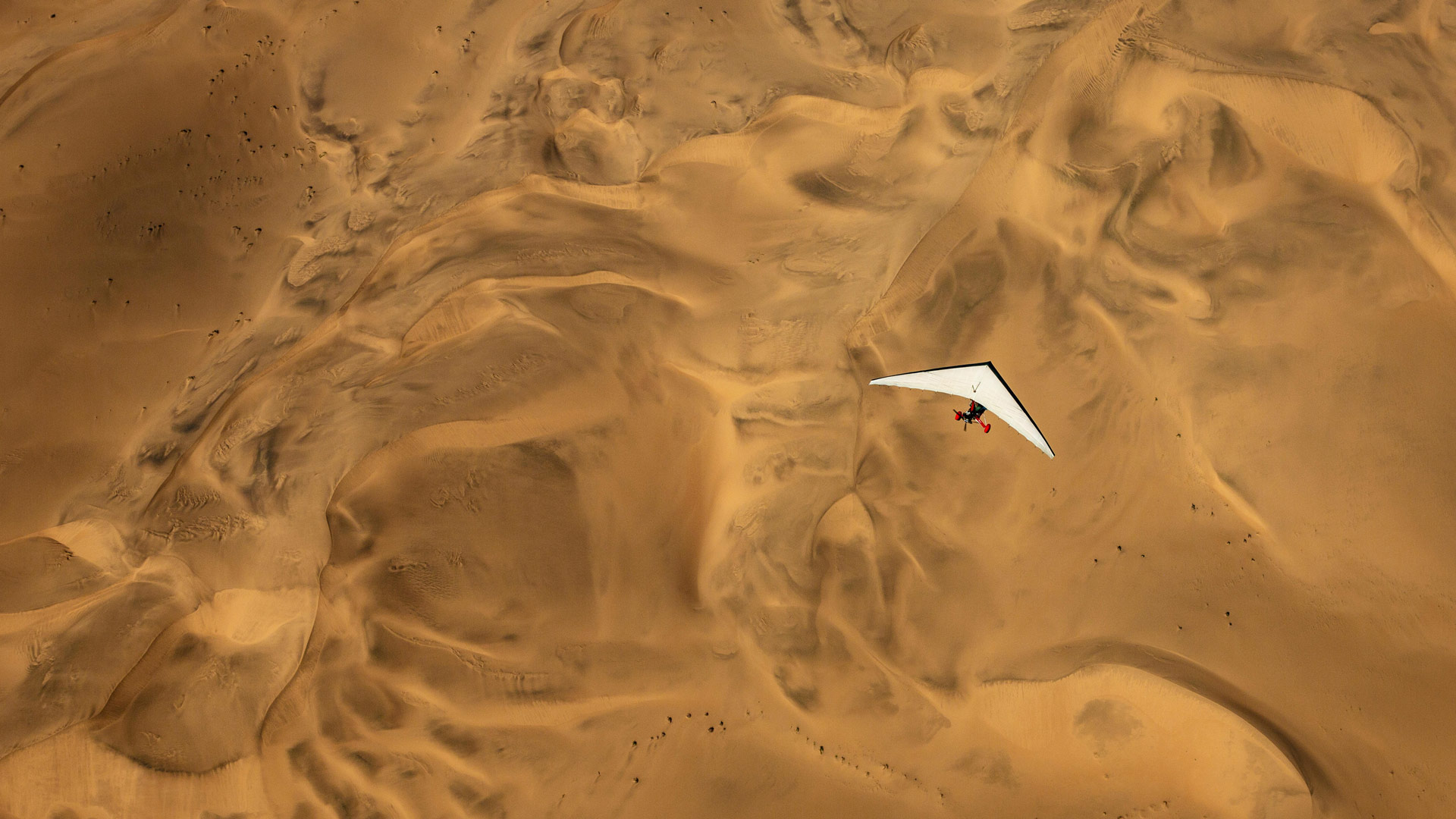 Bing Wallpaper (IN) 20250505 - Monday, 5th May, 2025