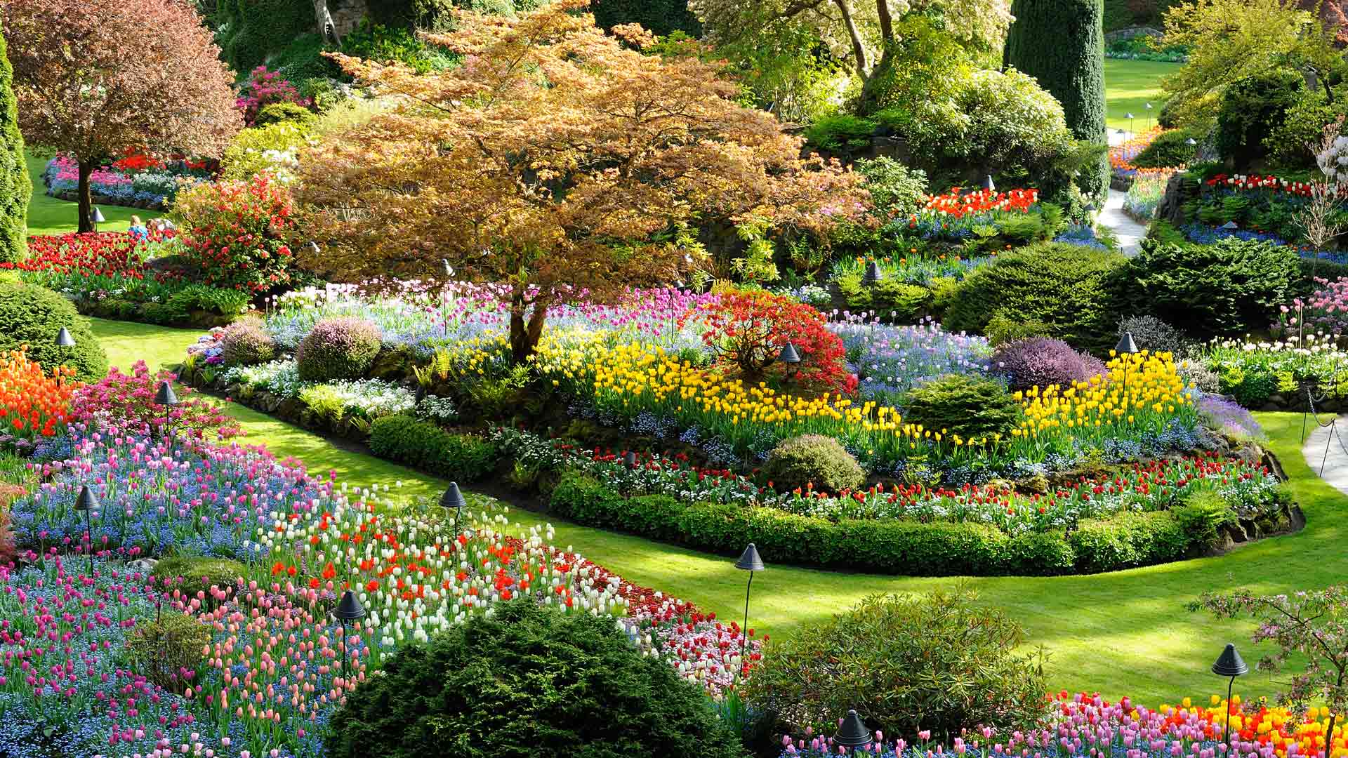 Bing Wallpaper (IN) 20250524 - Saturday, 24th May, 2025