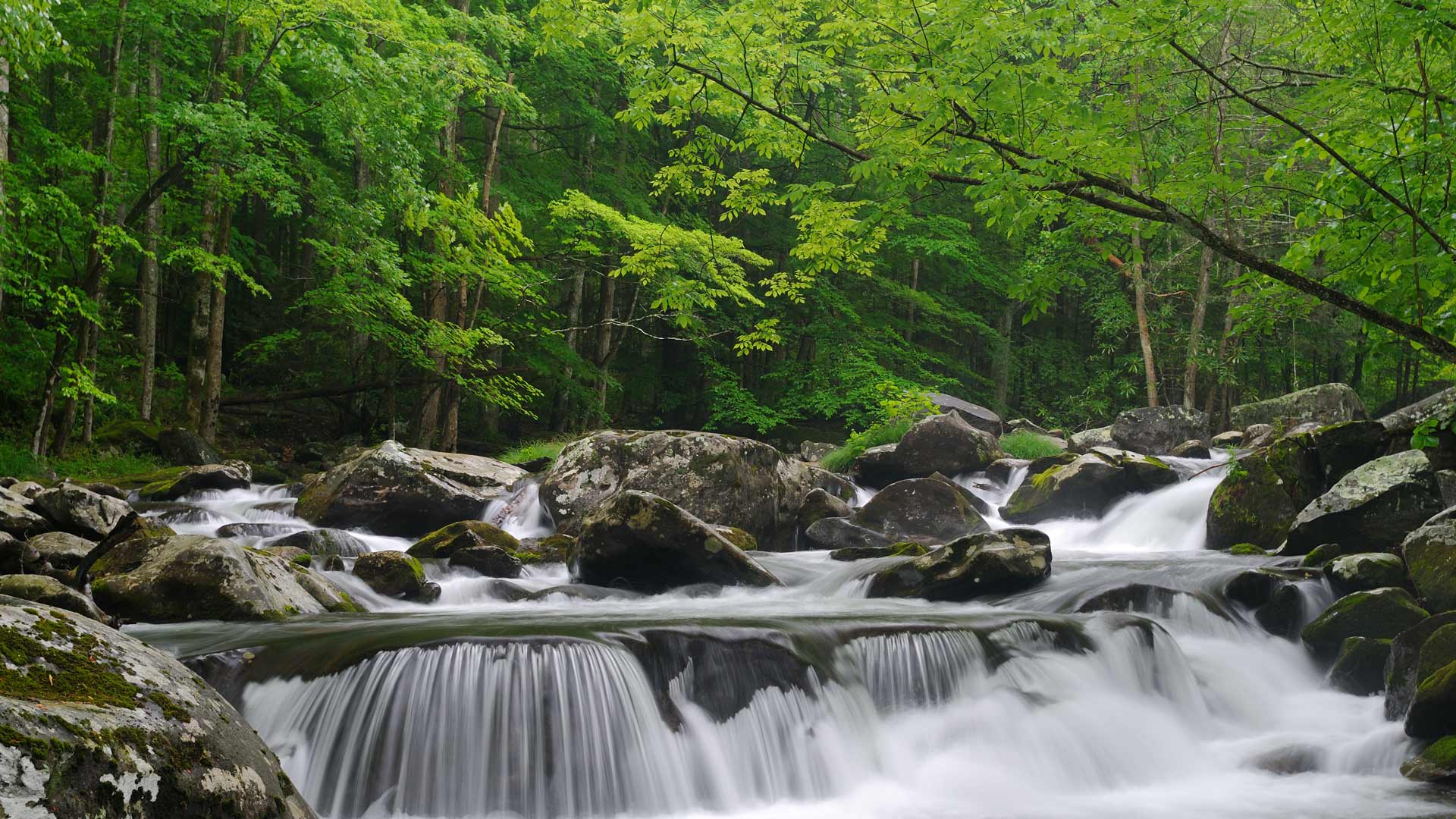 Bing Wallpaper (IN) 20250529 - Thursday, 29th May, 2025