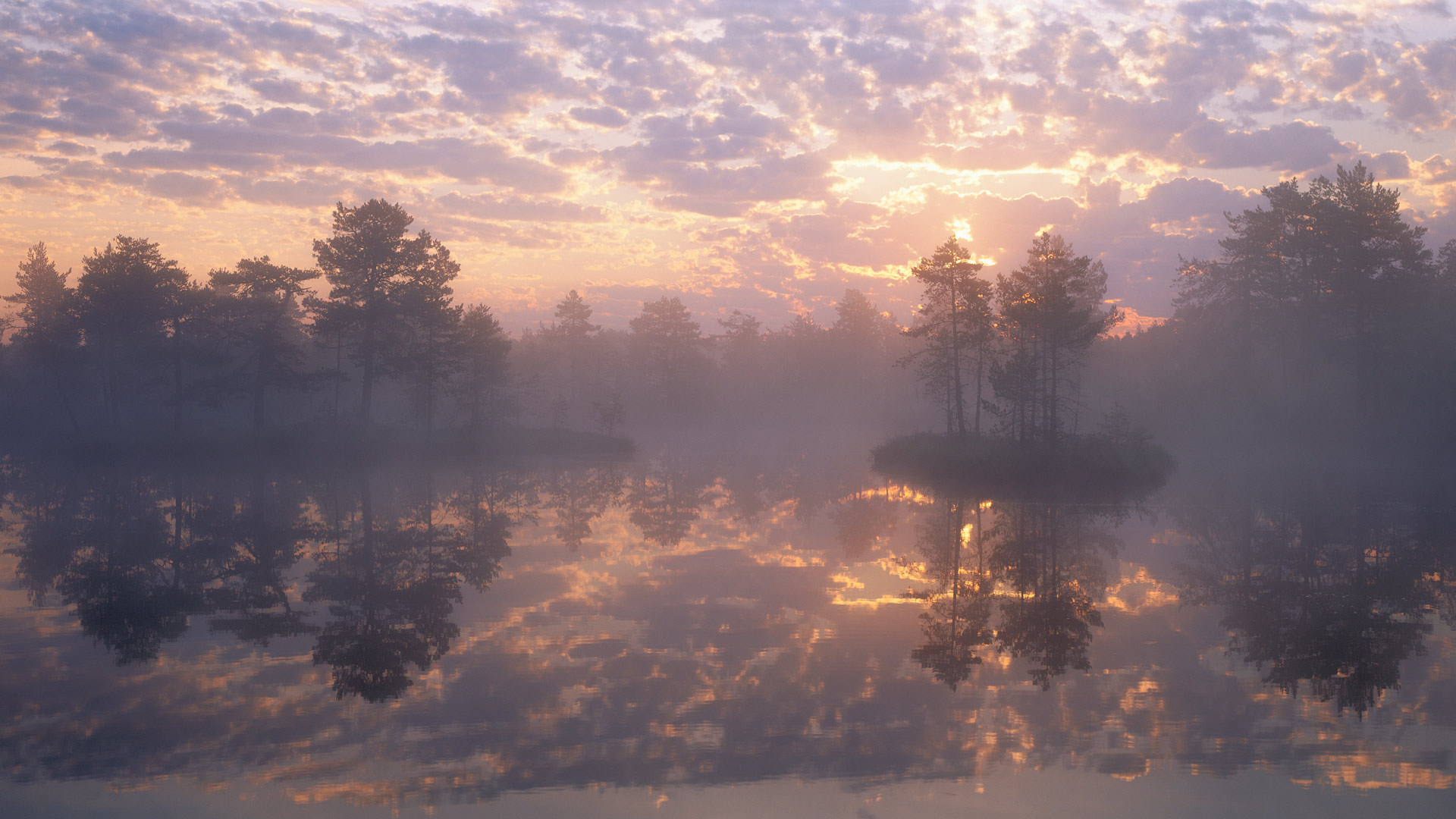 Bing Wallpaper (IN) 20250530 - Friday, 30th May, 2025