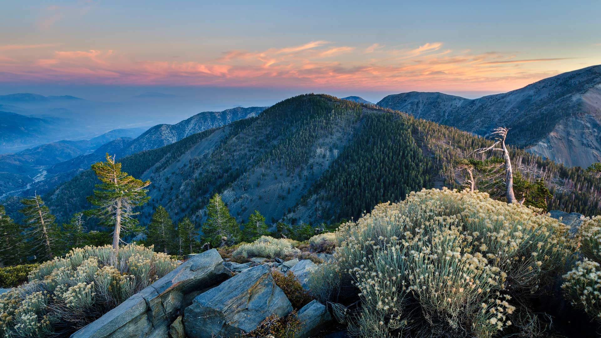 Bing Wallpaper (CA) 20250607 - Saturday, 7th June, 2025