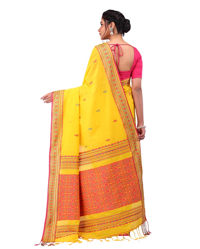 Handloom Cotton  Saree