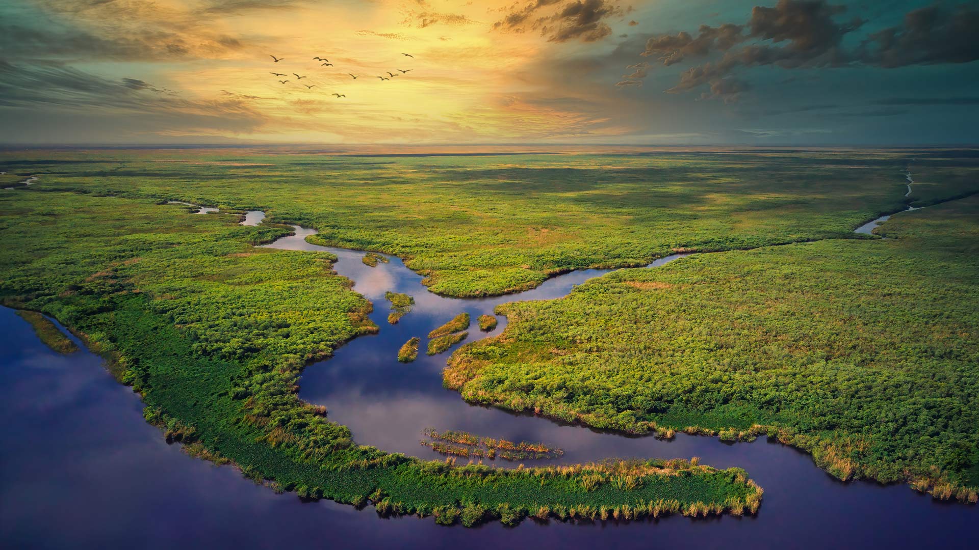 Bing Wallpaper (IN) 20250609 - Monday, 9th June, 2025