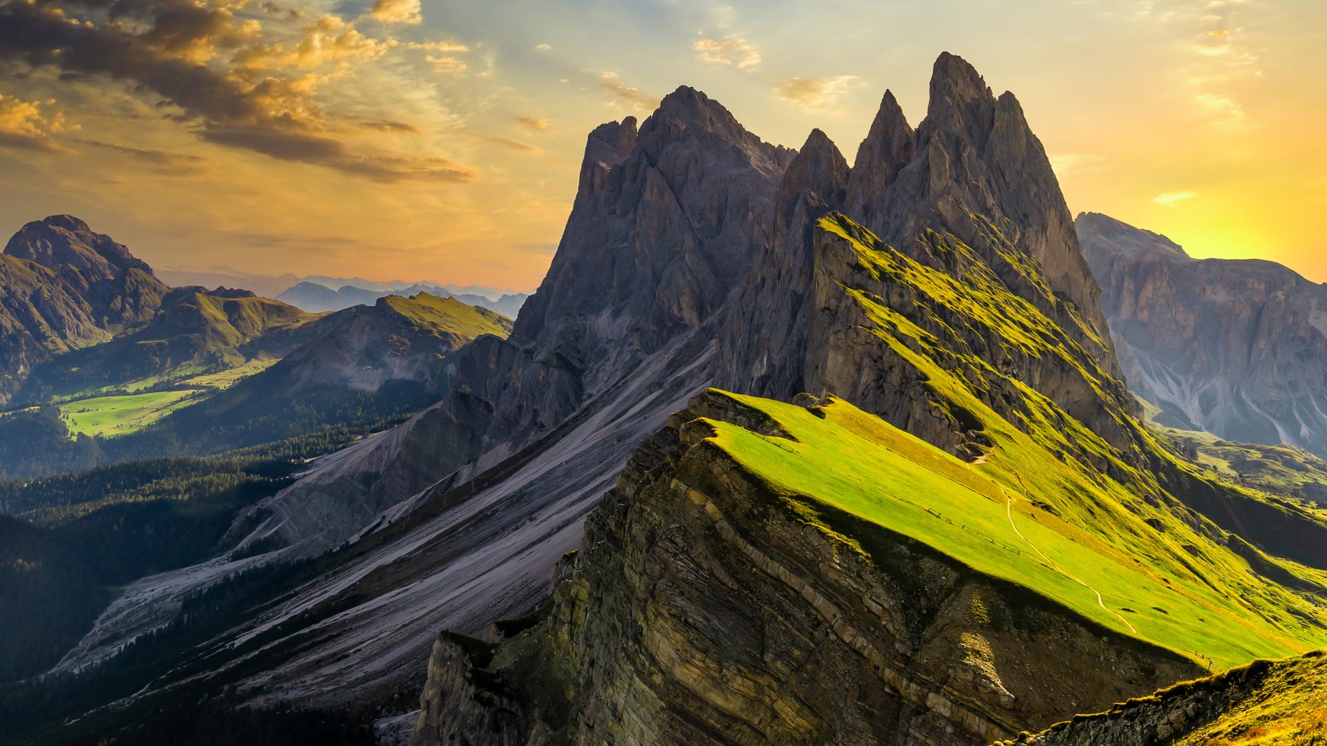 Bing Wallpaper (IN) 20250707 - Monday, 7th July, 2025