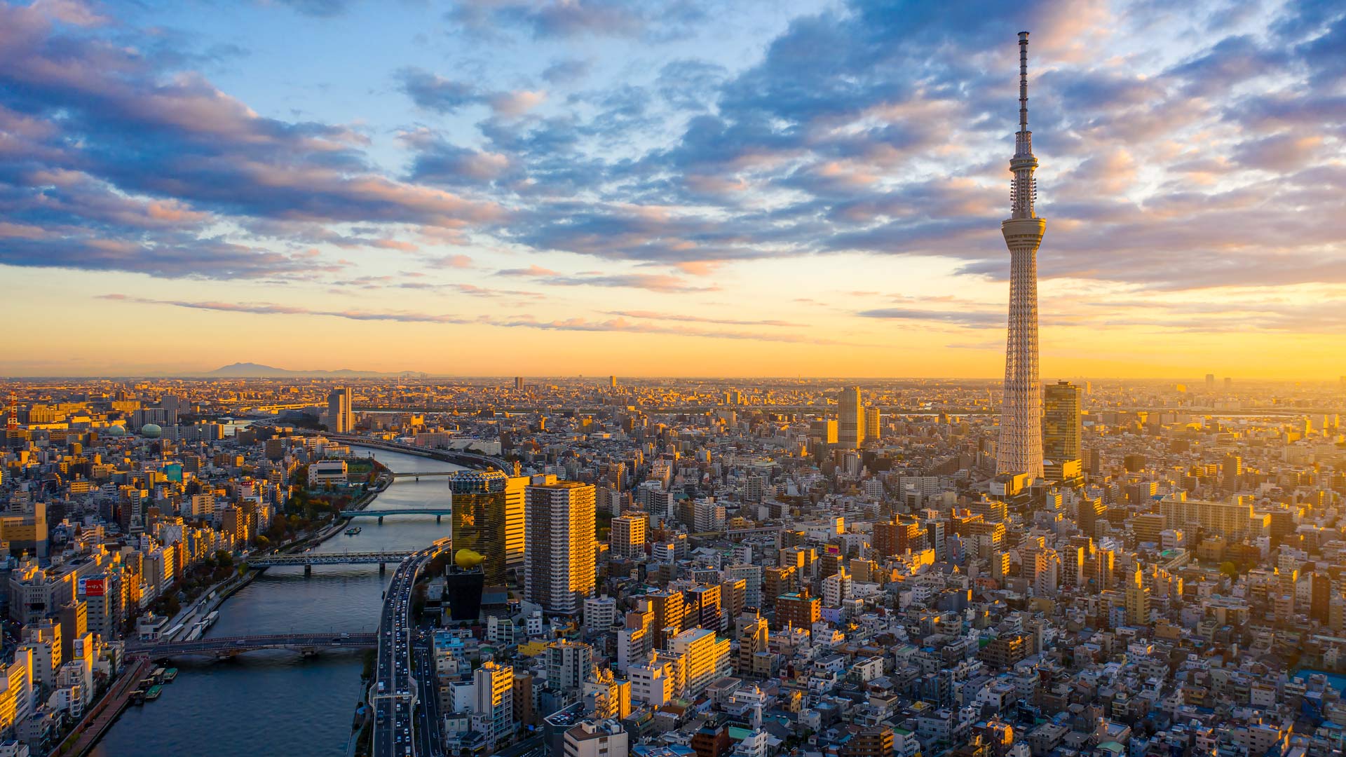 Bing Wallpaper (IN) 20250710 - Thursday, 10th July, 2025