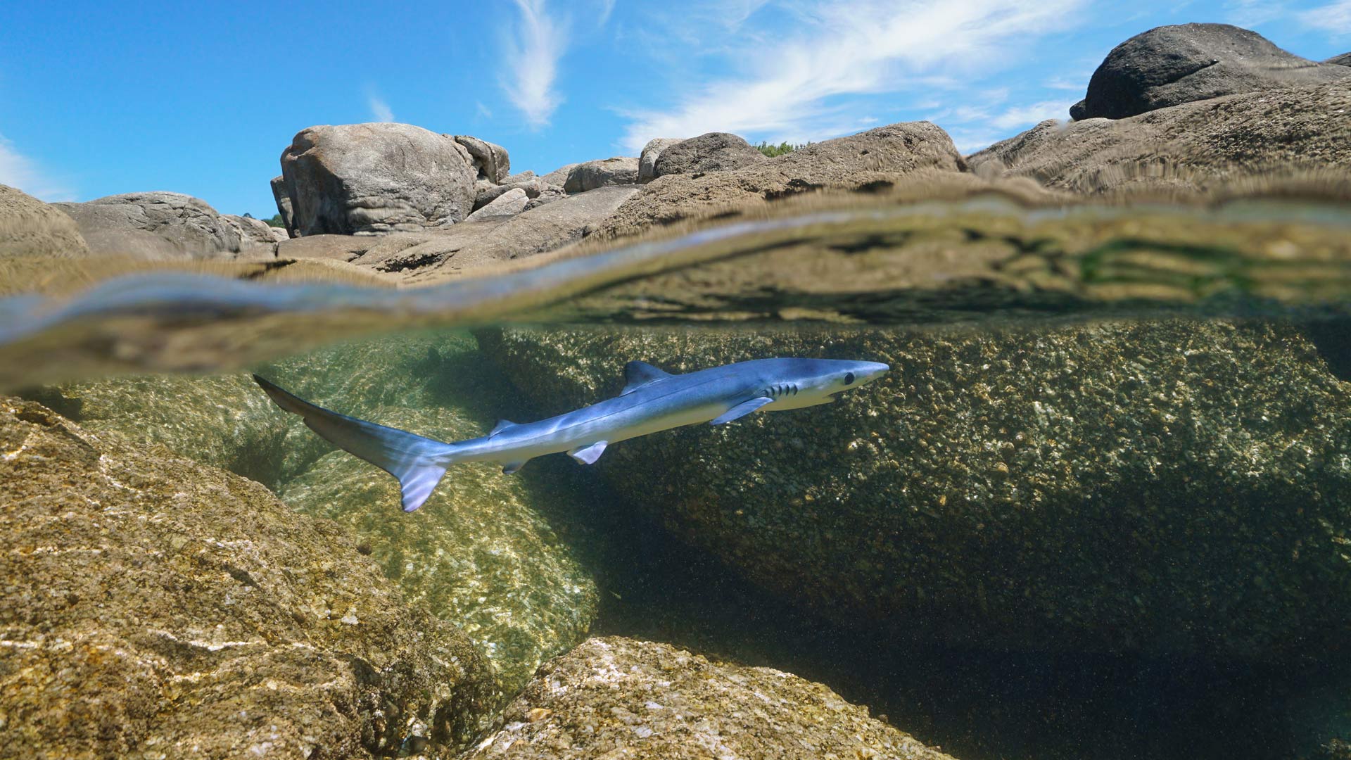 Bing Wallpaper (IN) 20250713 - Sunday, 13th July, 2025