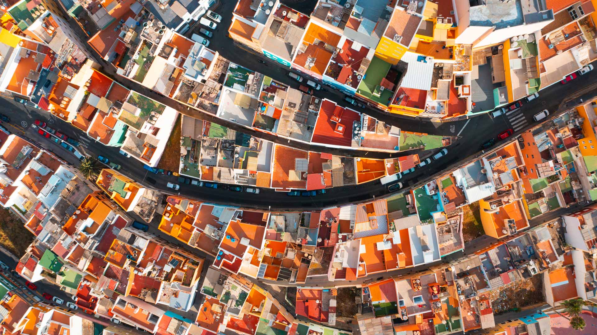 Bing Wallpaper (IN) 20250724 - Thursday, 24th July, 2025