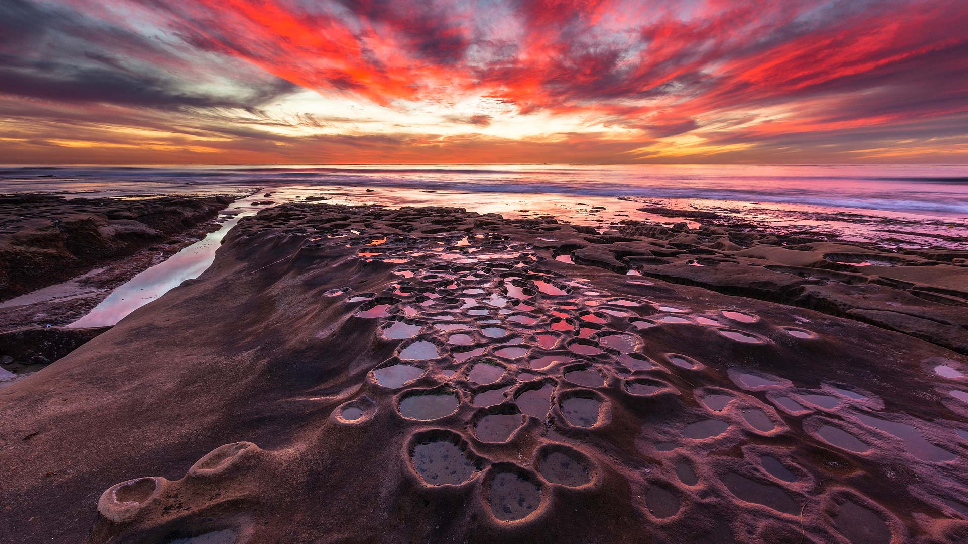 Bing Wallpaper (IN) 20250804 - Monday, 4th August, 2025