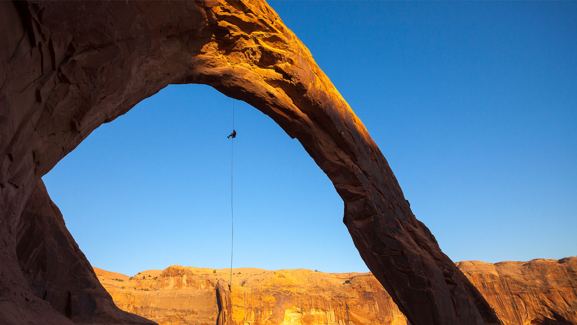Bing Wallpaper (IN) 20250812 - Tuesday, 12th August, 2025