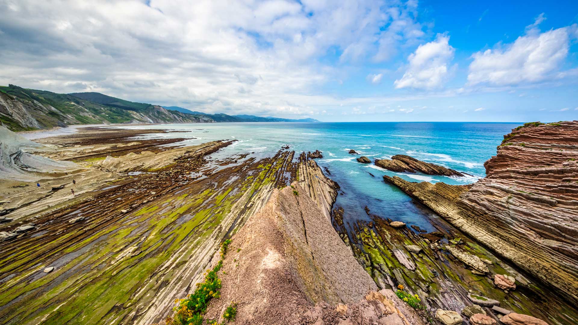 Bing Wallpaper (AU) 20250819 - Tuesday, 19th August, 2025