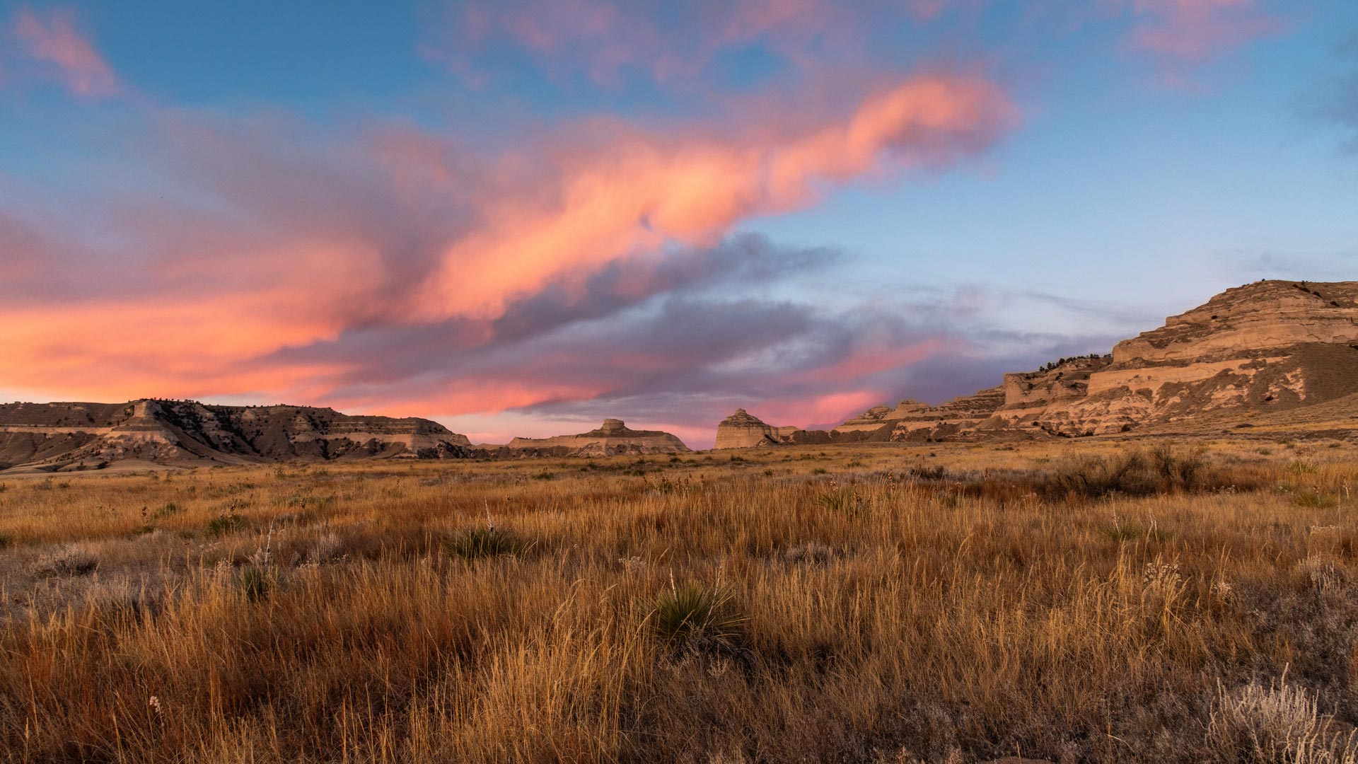 Bing Wallpaper (IN) 20250830 - Saturday, 30th August, 2025
