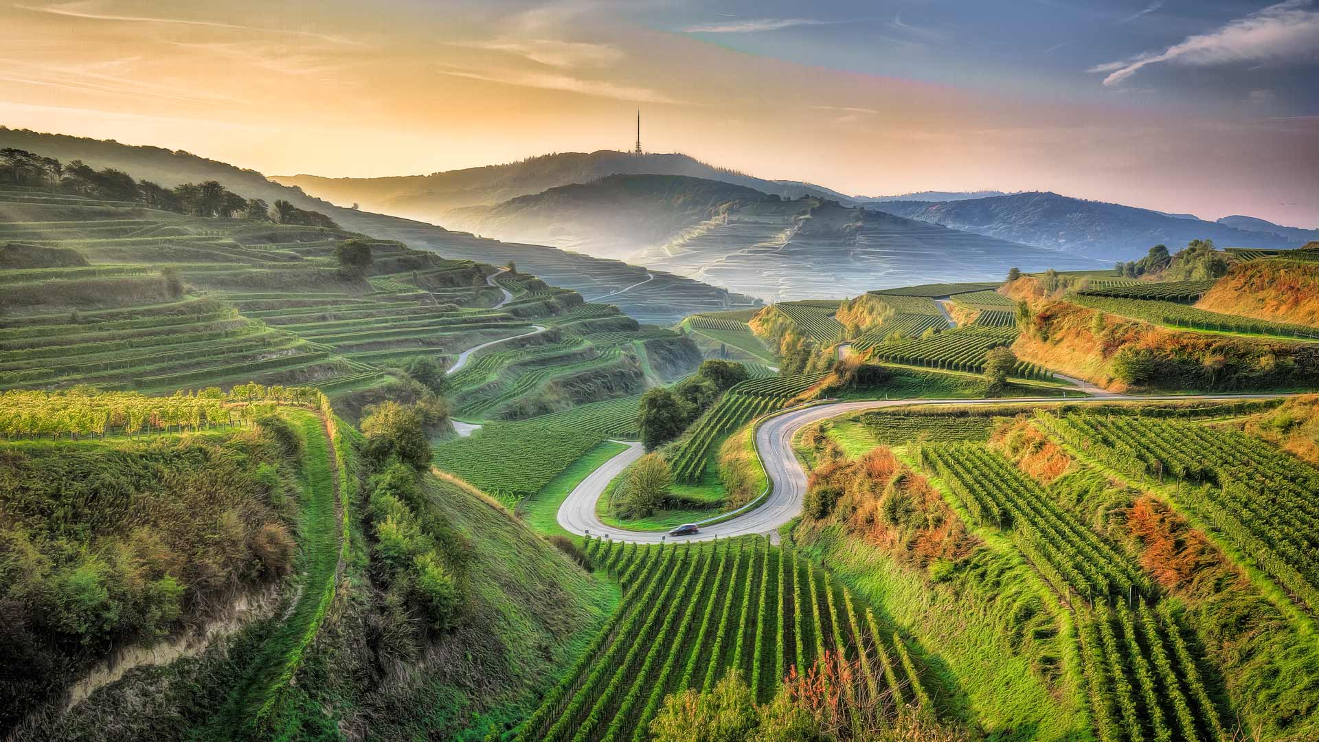 Bing Wallpaper (AU) 20250901 - Monday, 1st September, 2025