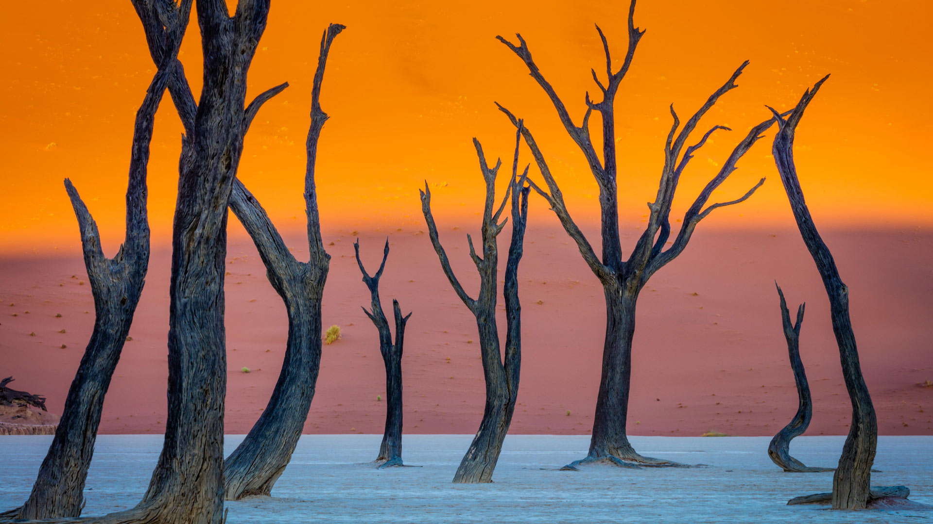 Bing Wallpaper (IN) 20250901 - Monday, 1st September, 2025