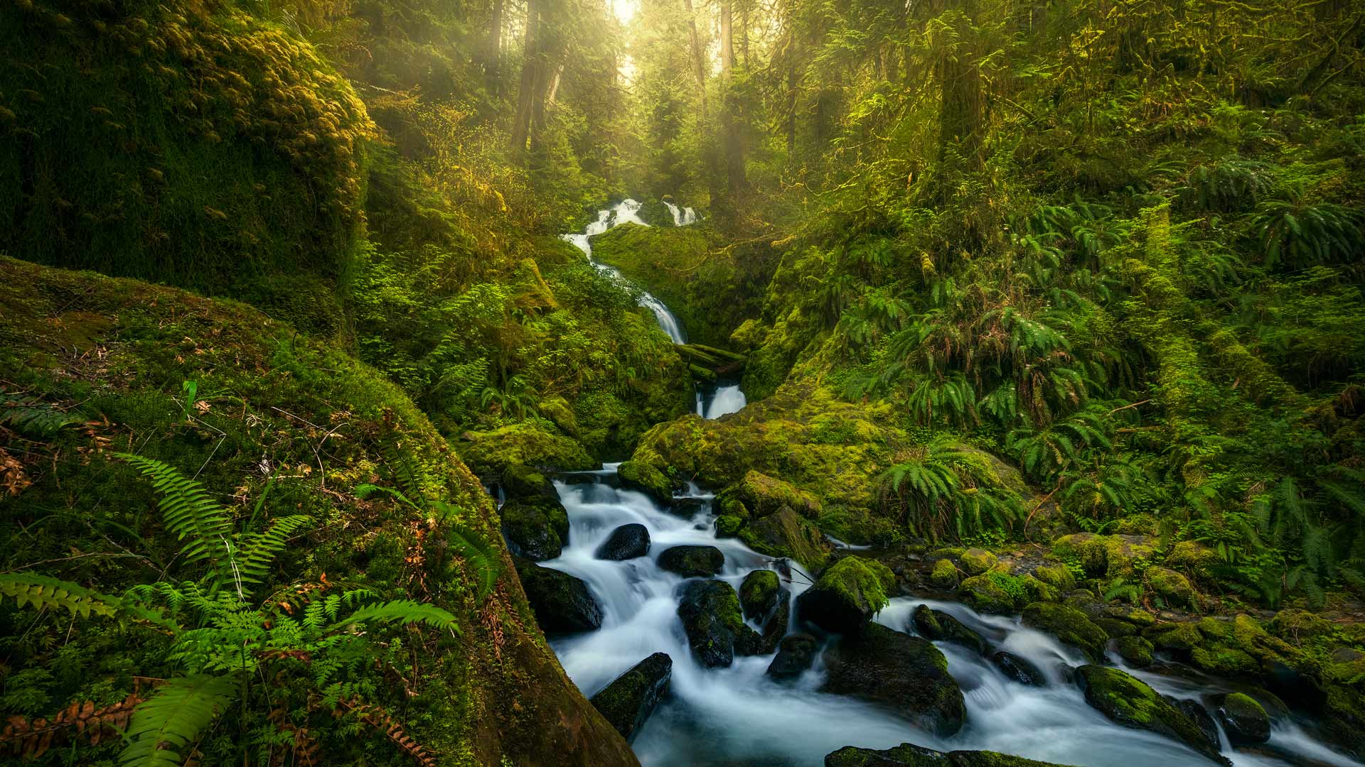 Bing Wallpaper (IN) 20250913 - Saturday, 13th September, 2025