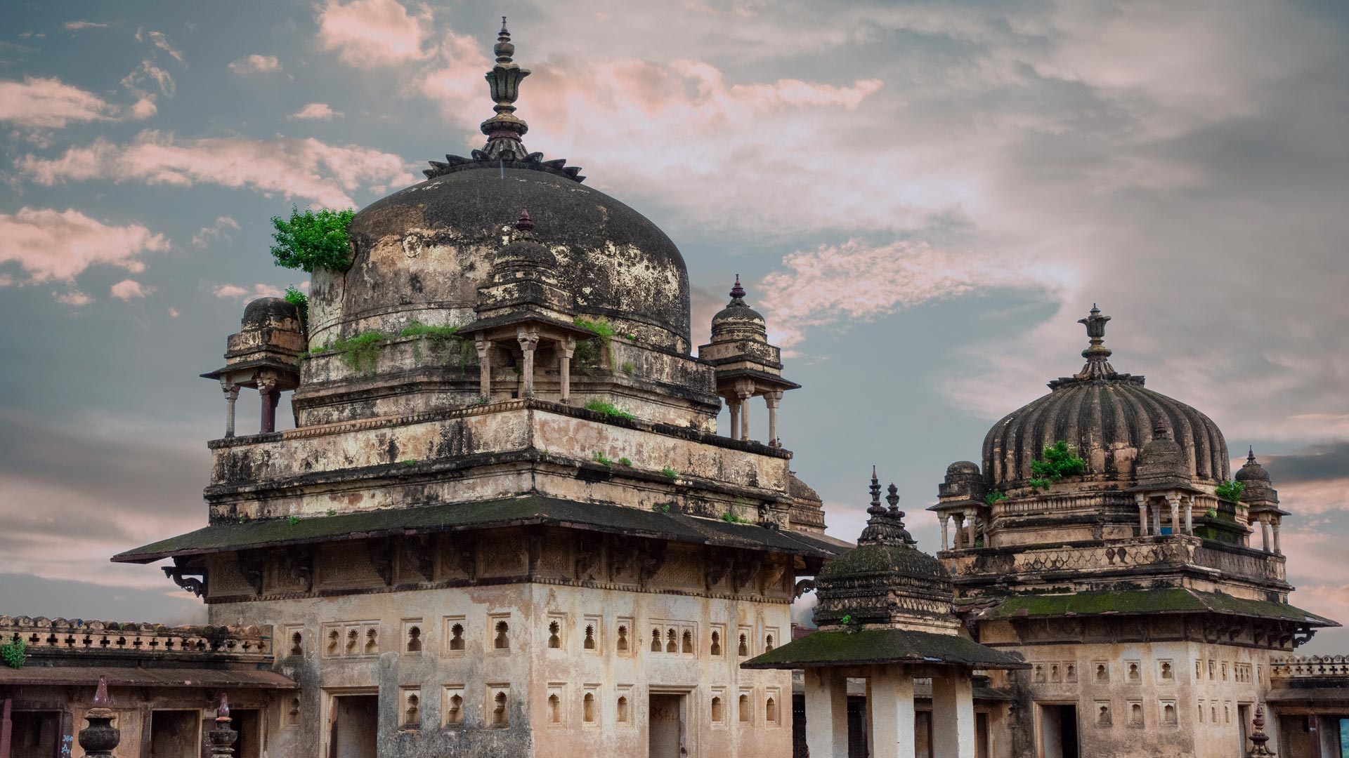 Bing Wallpaper (IN) 20251004 - Saturday, 4th October, 2025