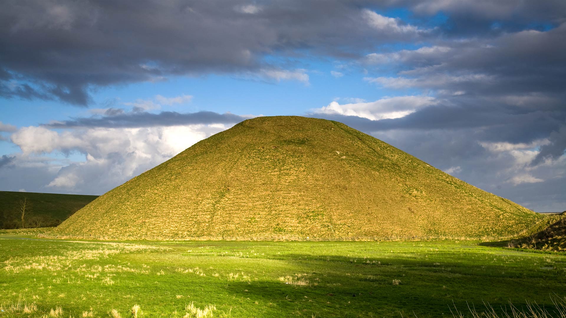 Bing Wallpaper (IN) 20251017 - Friday, 17th October, 2025