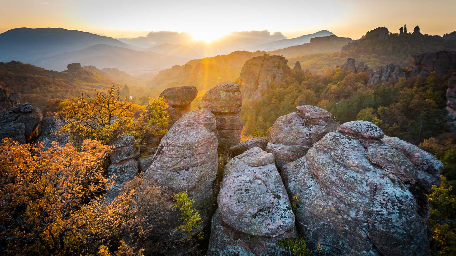 Bing Wallpaper (IN) 20251021 - Tuesday, 21st October, 2025