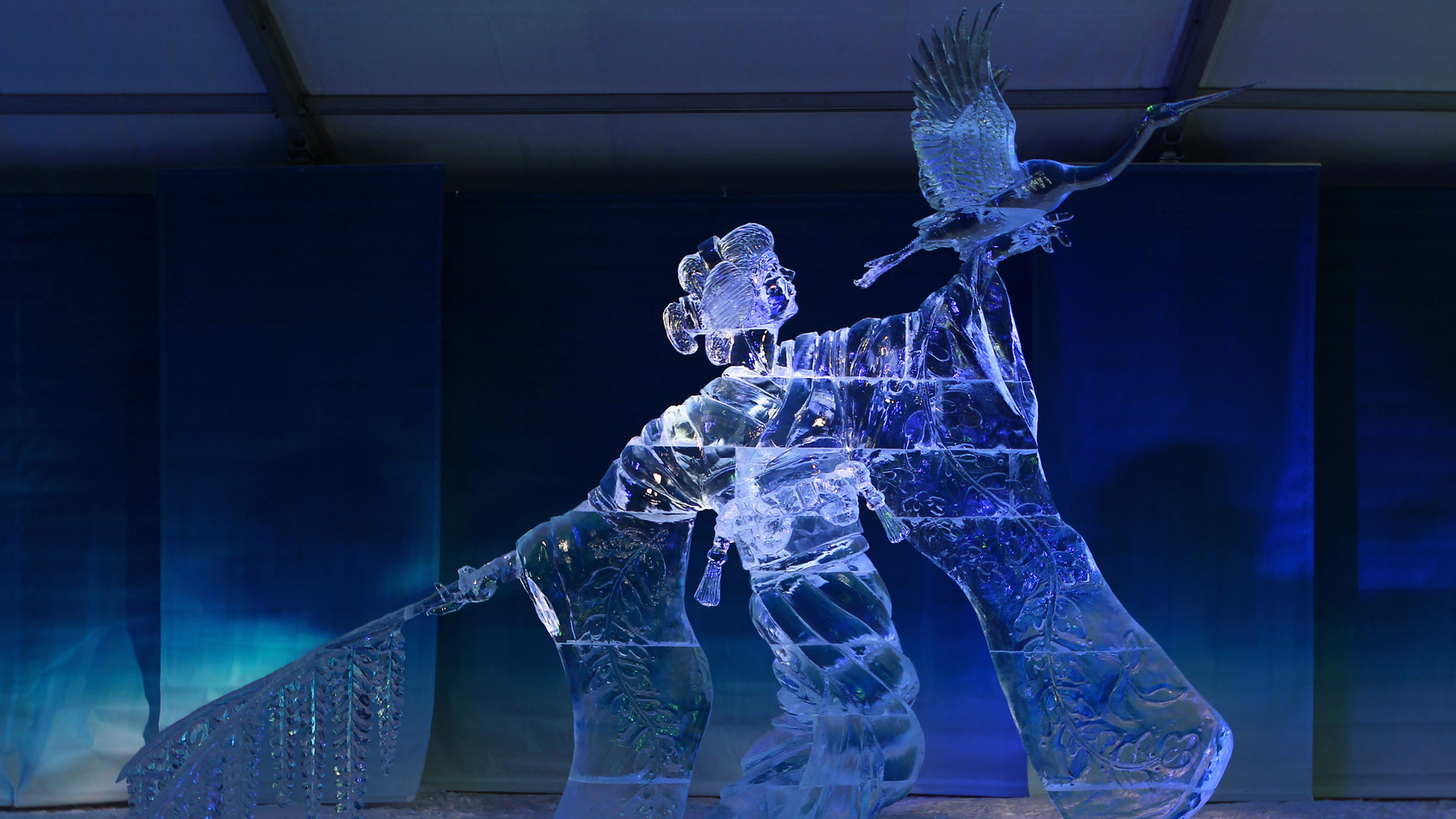 Bing Wallpaper (CA) 20260130 - Friday, 30th January, 2026