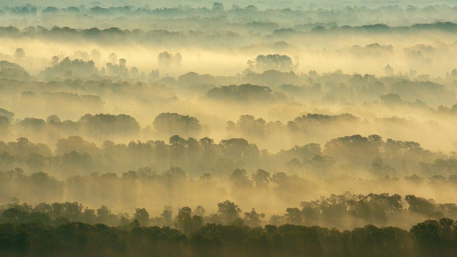 Bing Wallpaper (IN) 20260320 - Friday, 20th March, 2026