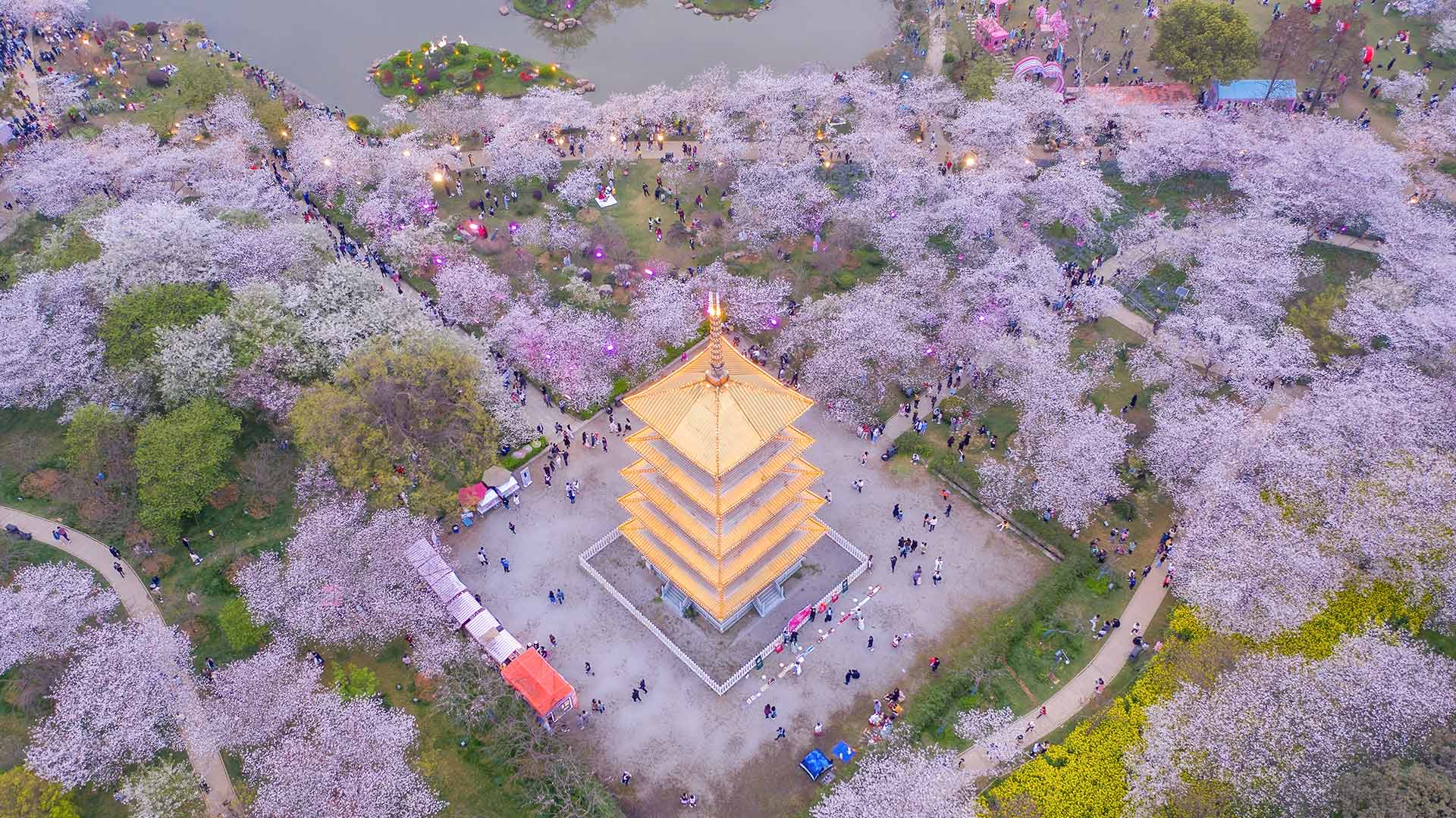 Bing Wallpaper (IN) 20260323 - Monday, 23rd March, 2026