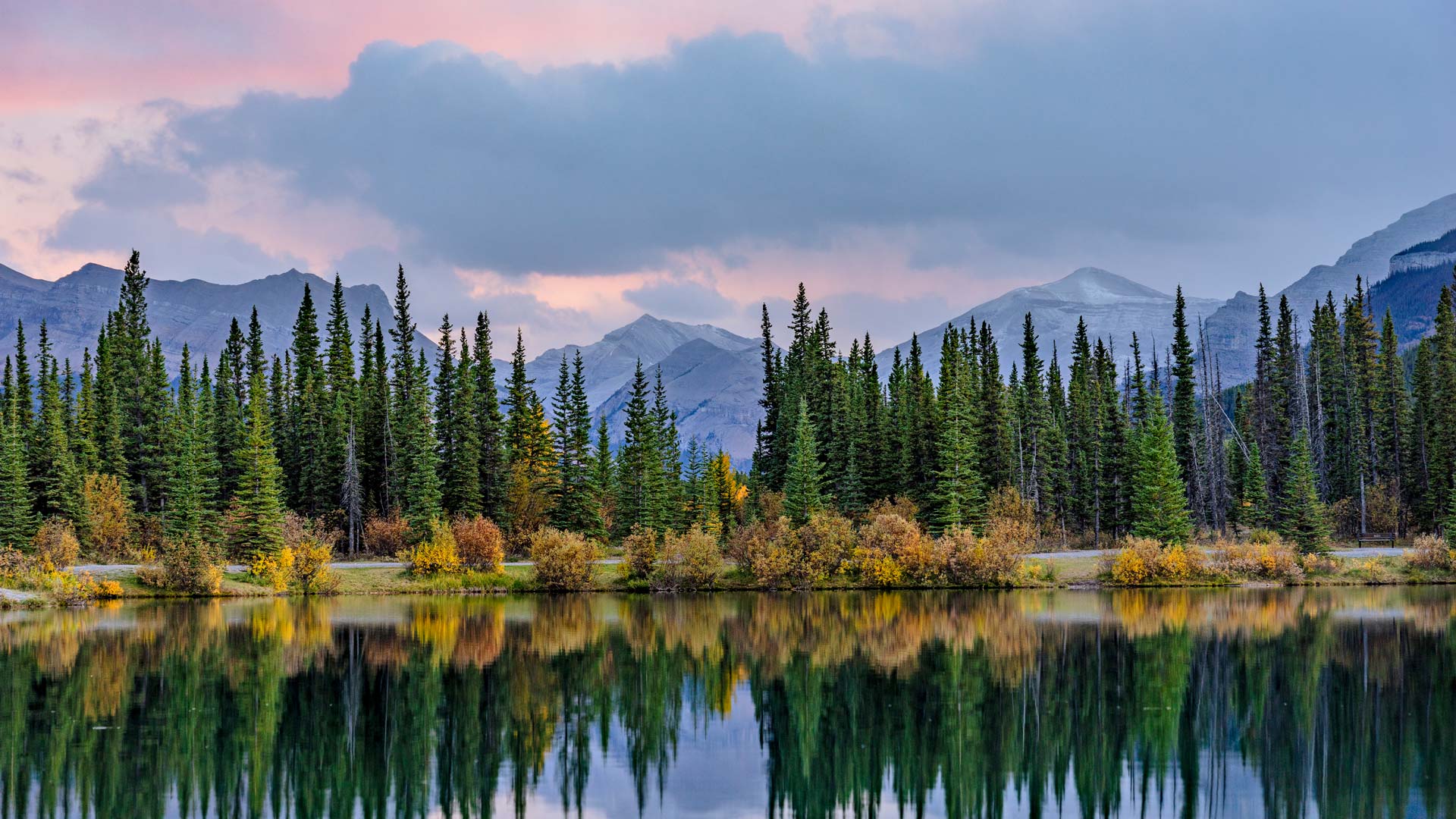 Bing Wallpaper (CA) 20260325 - Wednesday, 25th March, 2026