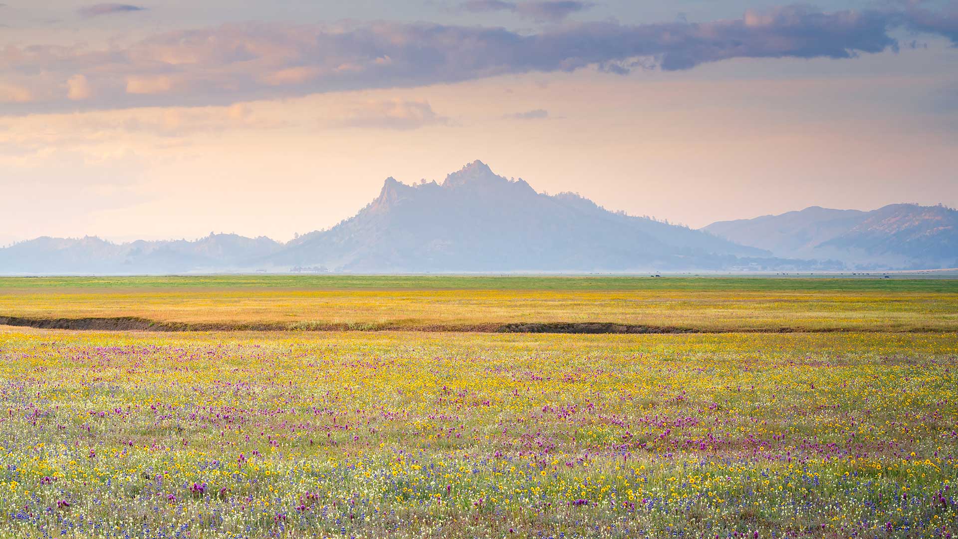 Bing Wallpaper (IN) 20260401 - Wednesday, 1st April, 2026
