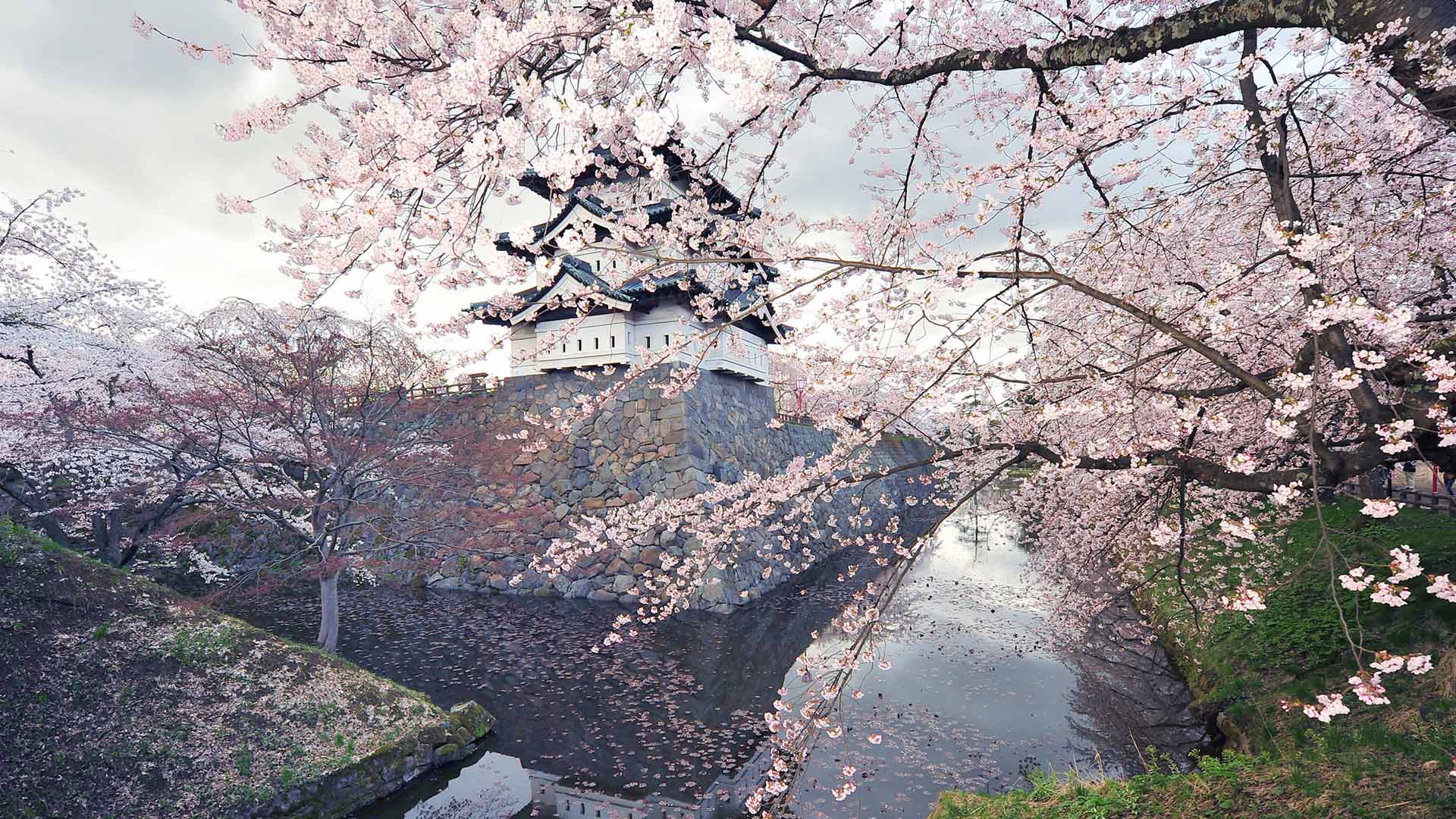 Bing Wallpaper (IN) 20260405 - Sunday, 5th April, 2026