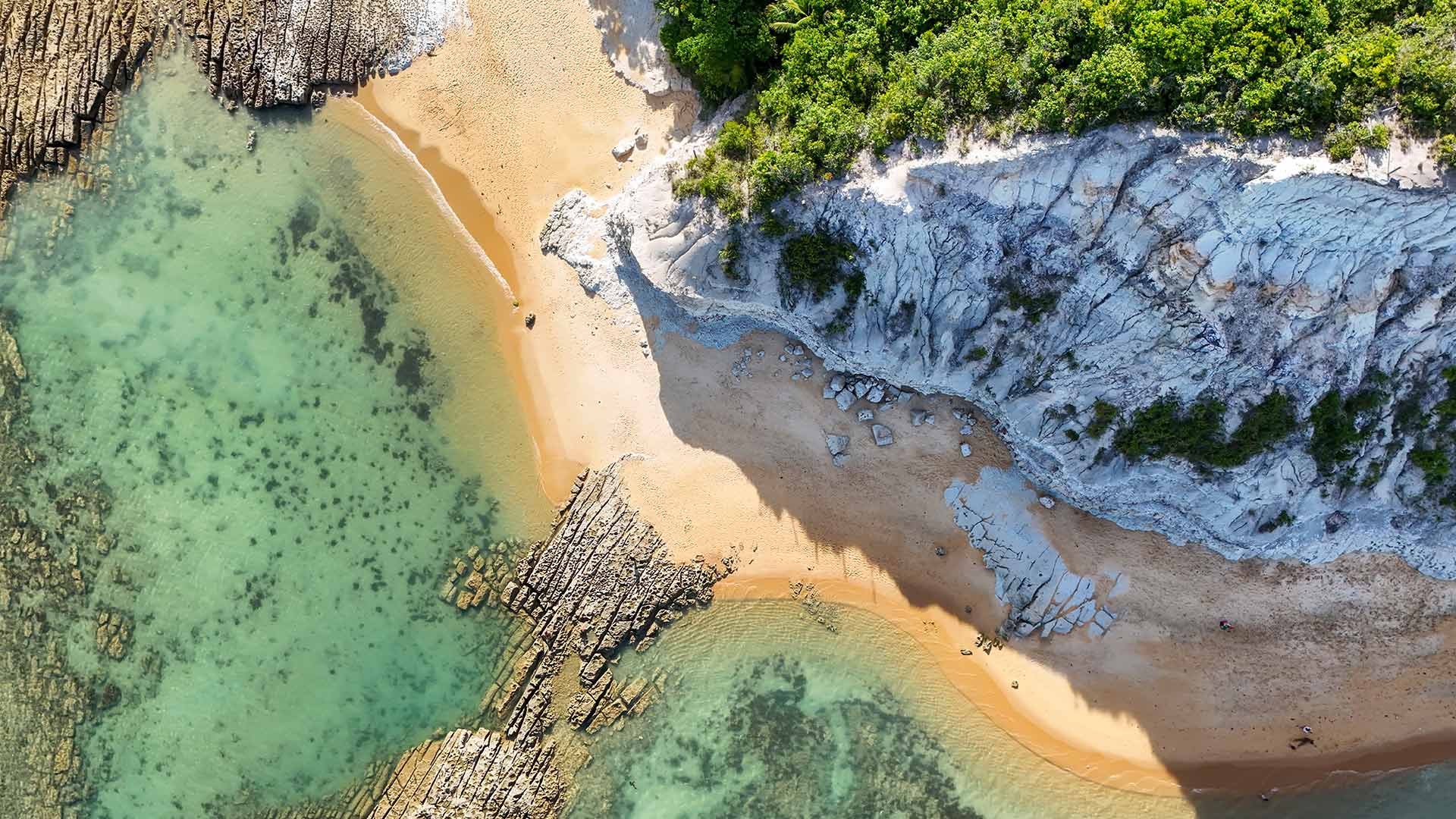 Bing Wallpaper (AU) 20260419 - Sunday, 19th April, 2026