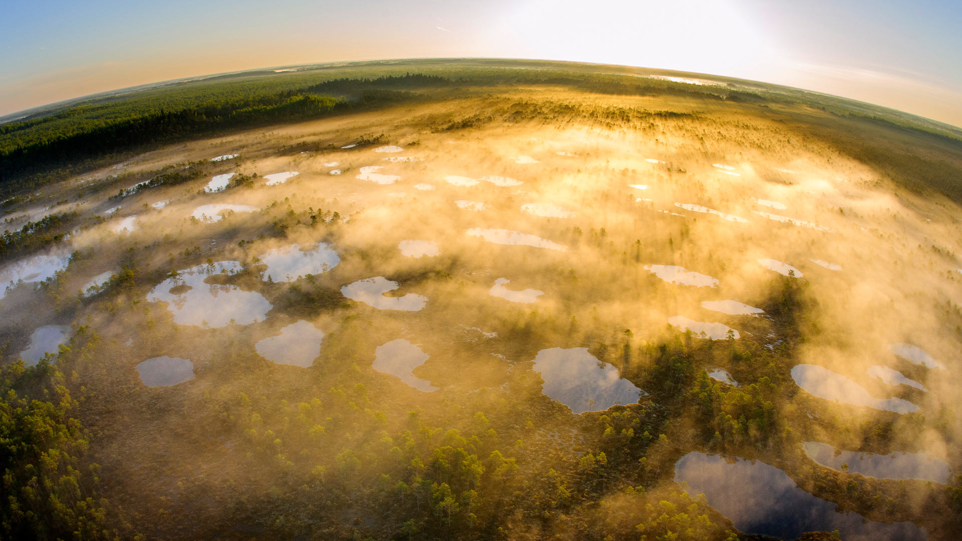 Bing Wallpaper (IN) 20260421 - Tuesday, 21st April, 2026