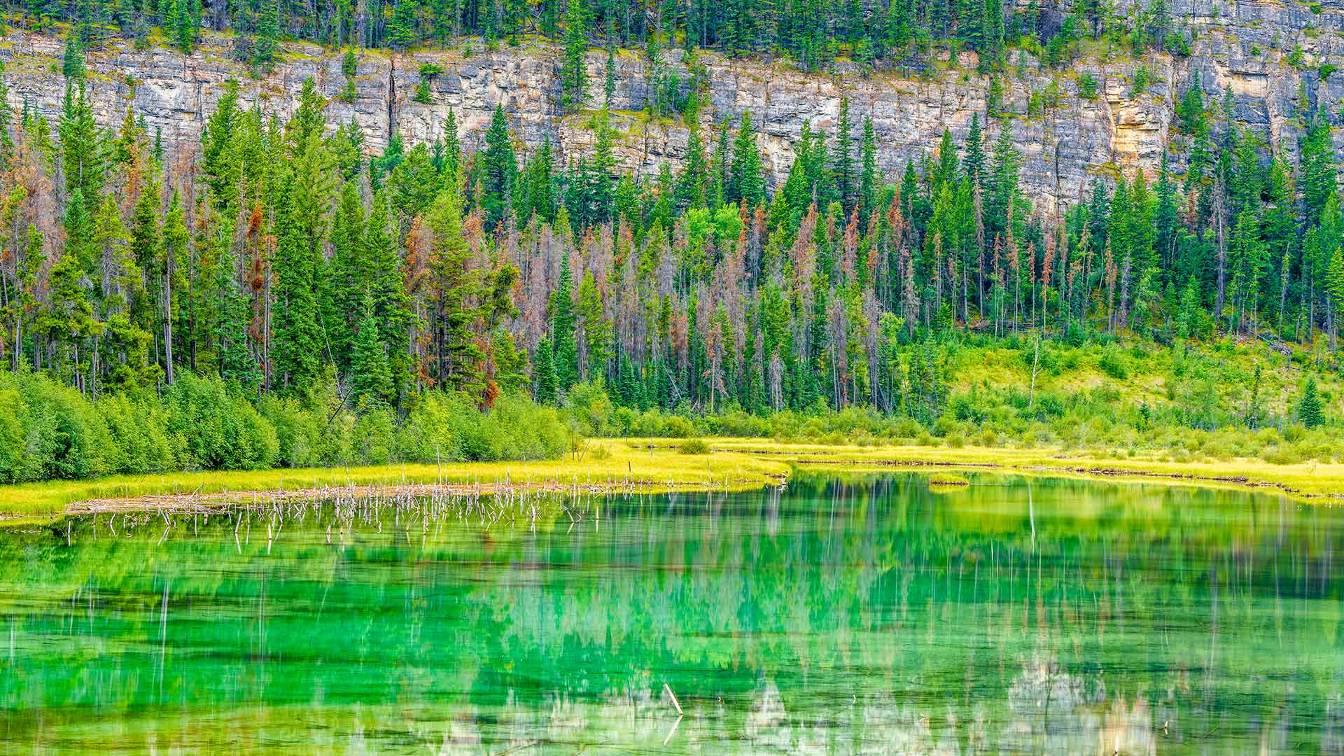 Bing Wallpaper (IN) 20260501 - Friday, 1st May, 2026