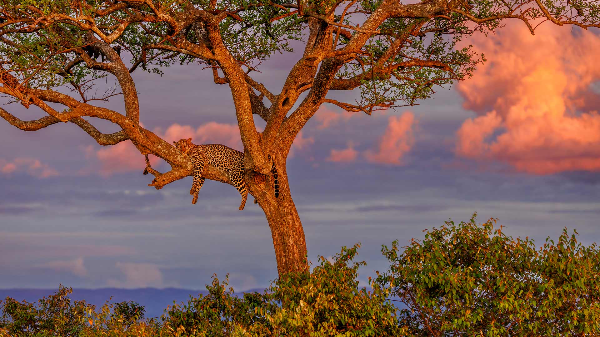 Bing Wallpaper (IN) 20260502 - Saturday, 2nd May, 2026