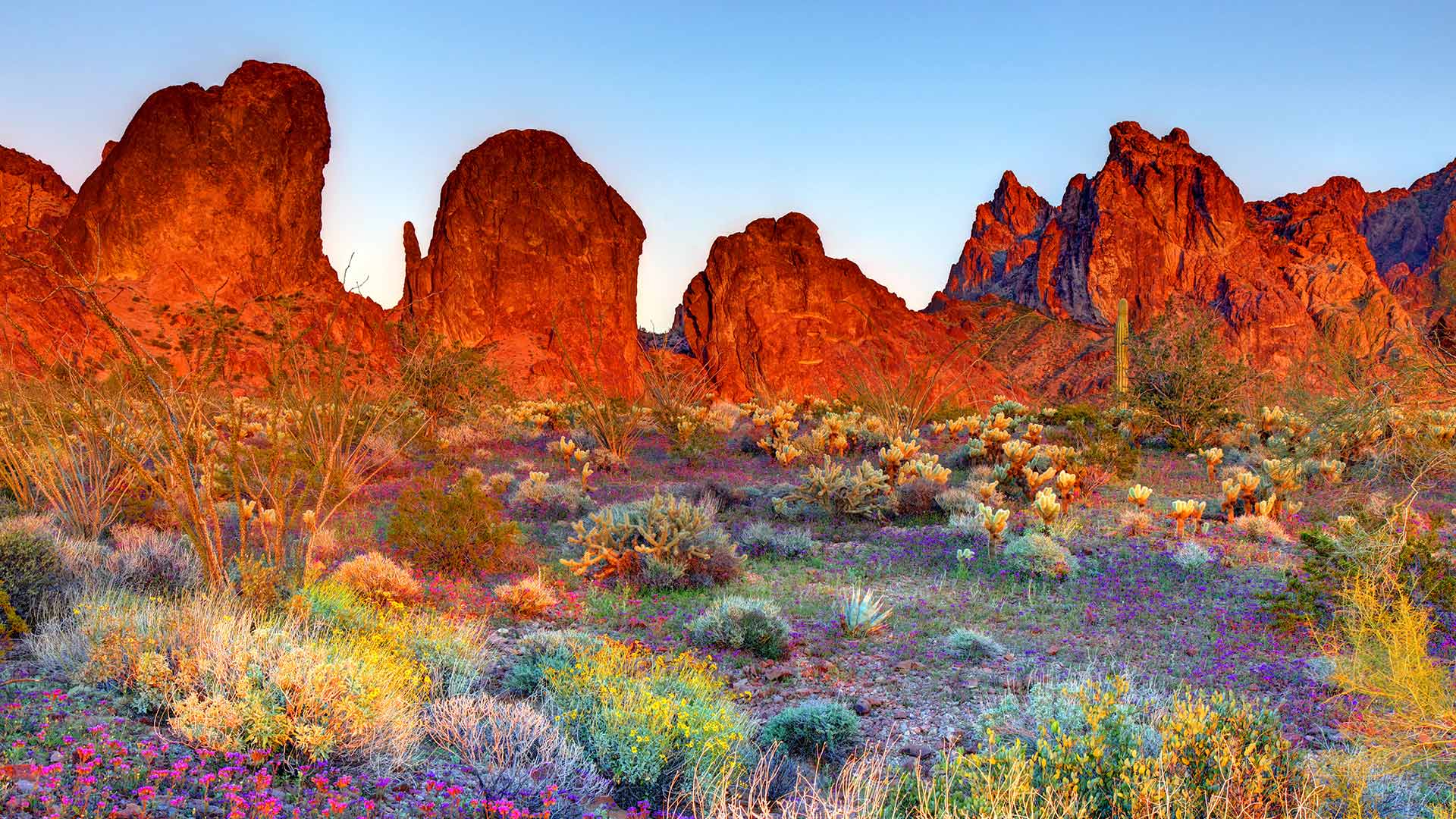 Bing Wallpaper (IN) 20260506 - Wednesday, 6th May, 2026