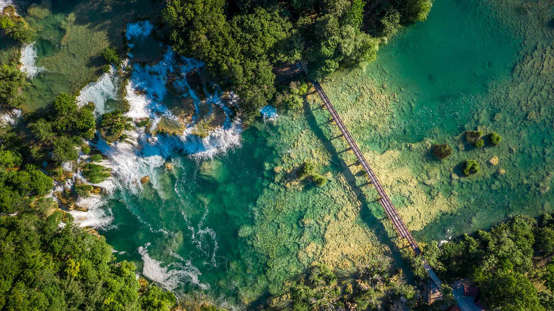 Bing Wallpaper (IN) 20260508 - Friday, 8th May, 2026