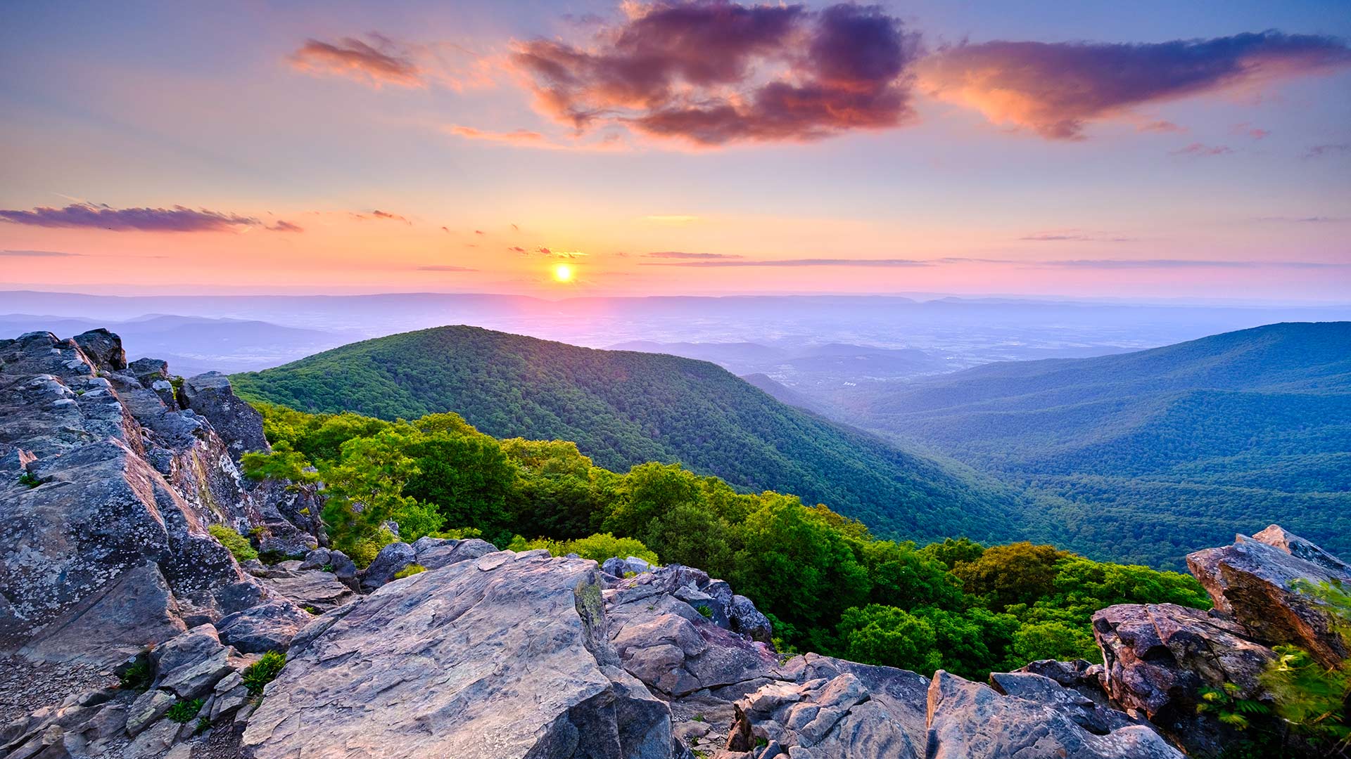 Bing Wallpaper (IN) 20260516 - Saturday, 16th May, 2026