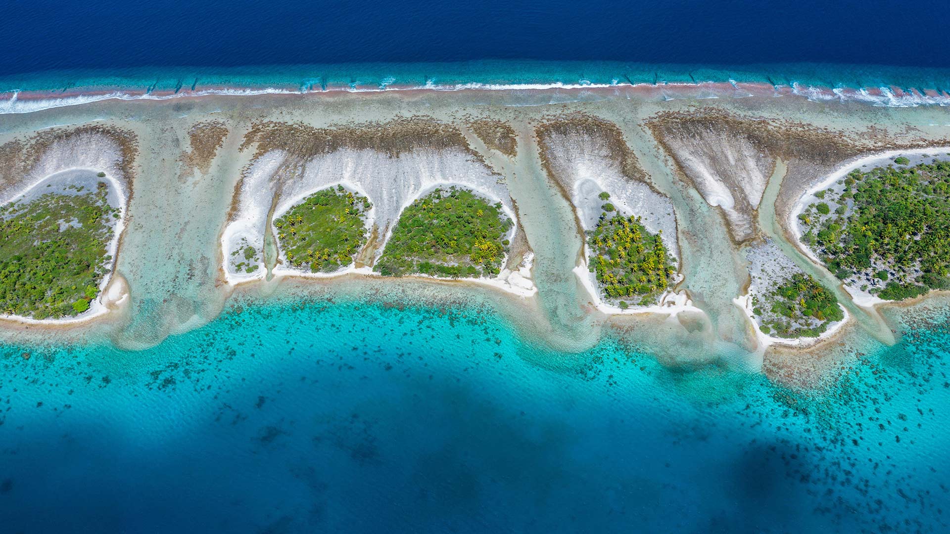 Bing Wallpaper (IN) 20260521 - Thursday, 21st May, 2026