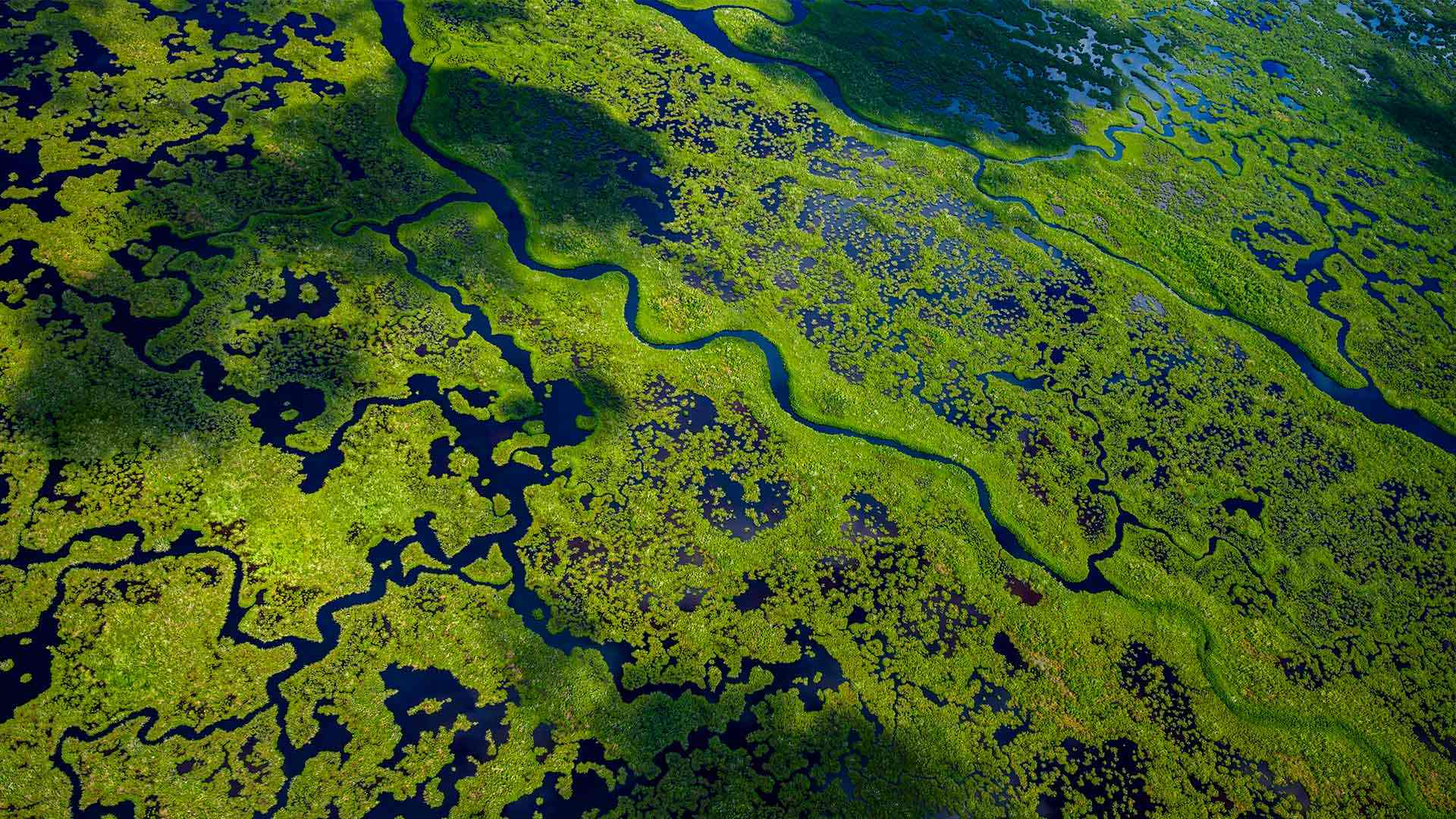 Aerial view of Everglades National Park, Florida (© Tetra Images/Getty Images)
